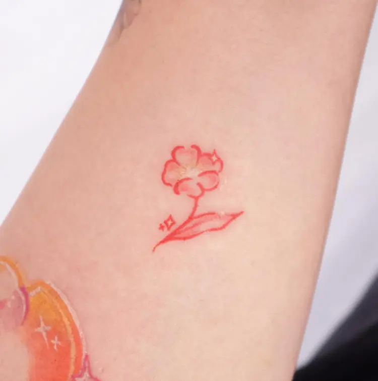 Nature, Flower