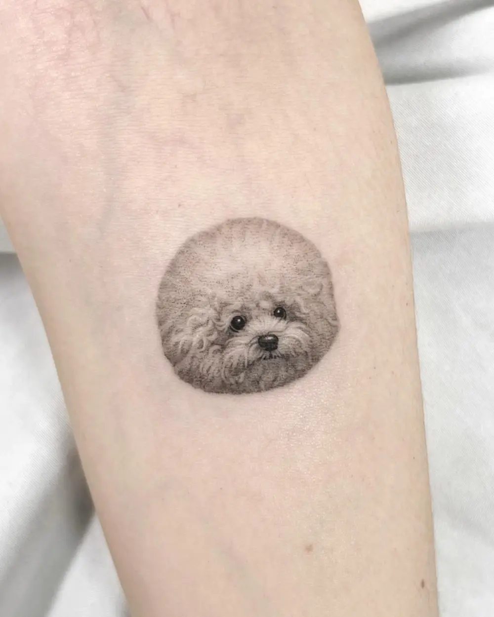 Animal, Mini