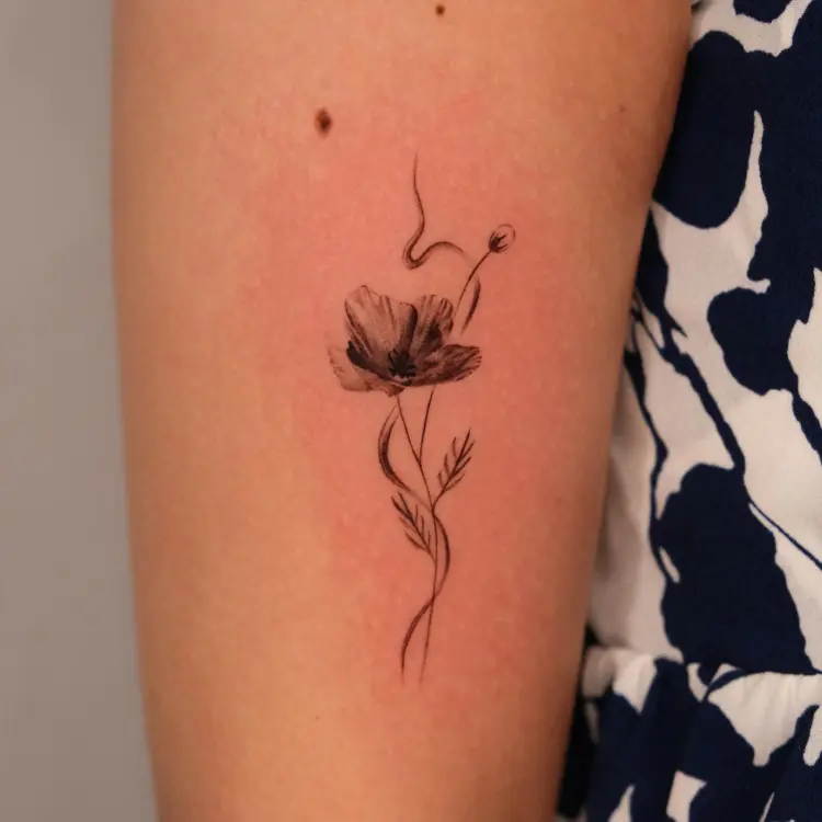 Nature, Flower