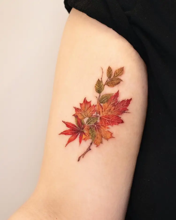 Flower, Nature