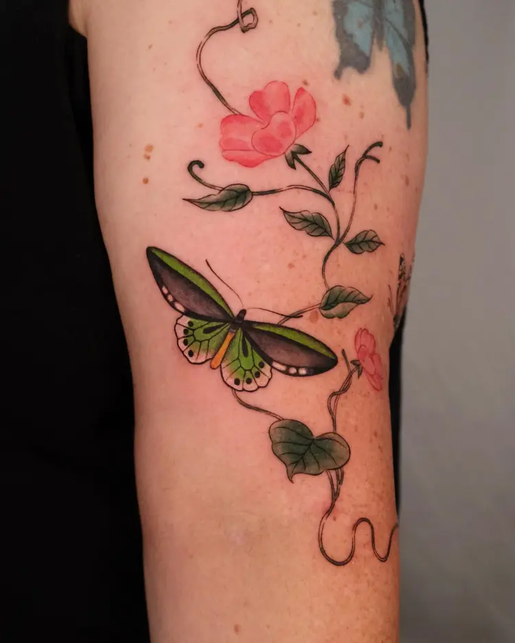 Flower, Nature, Animal