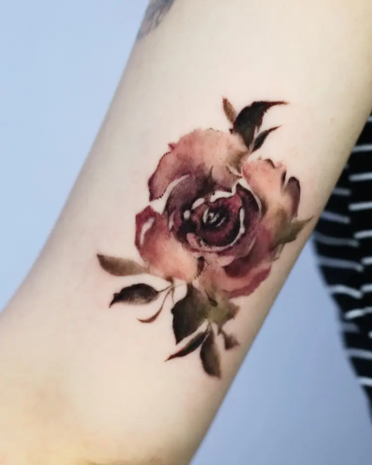 Flower, Rose