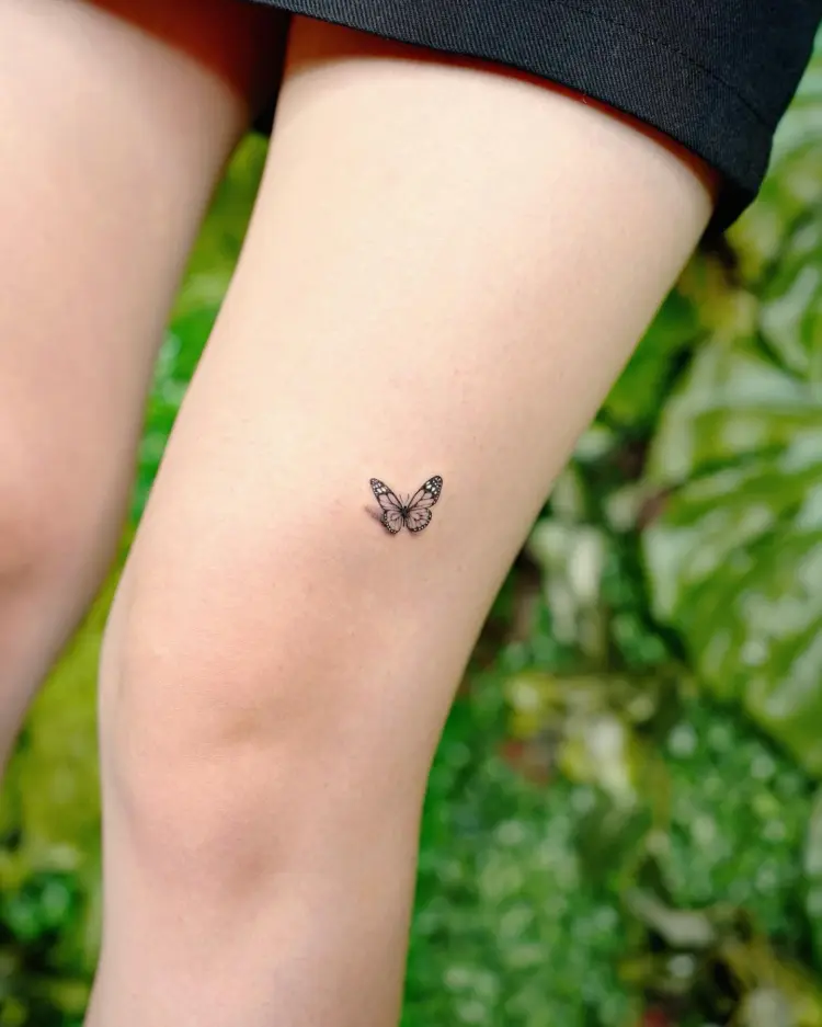 Animal, Nature