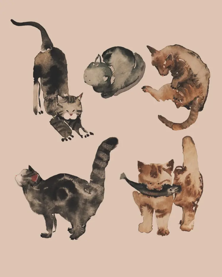 Animal