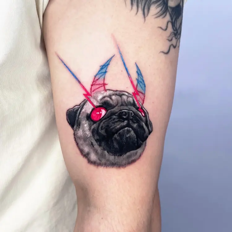 Animal