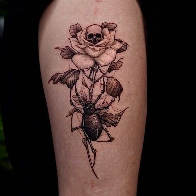Flower, Rose, Nature