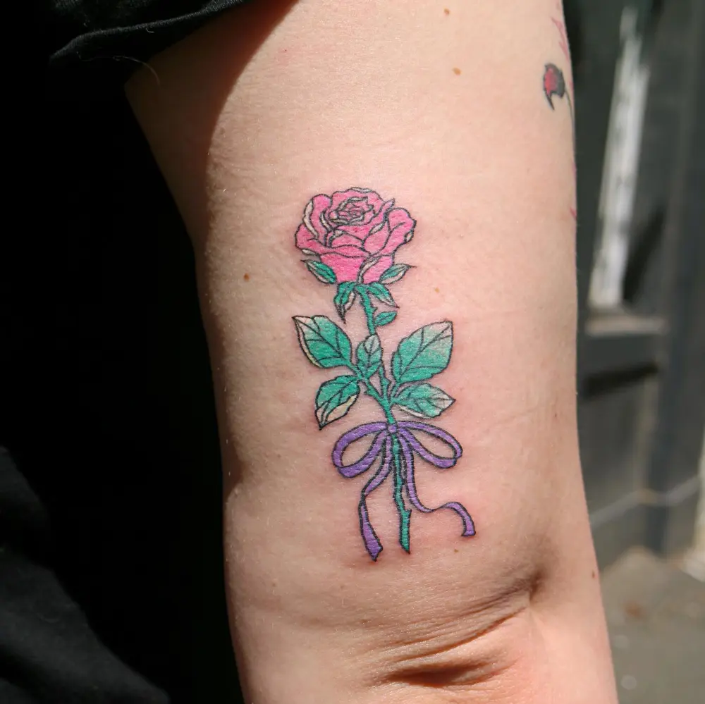Rose, Nature, Flower
