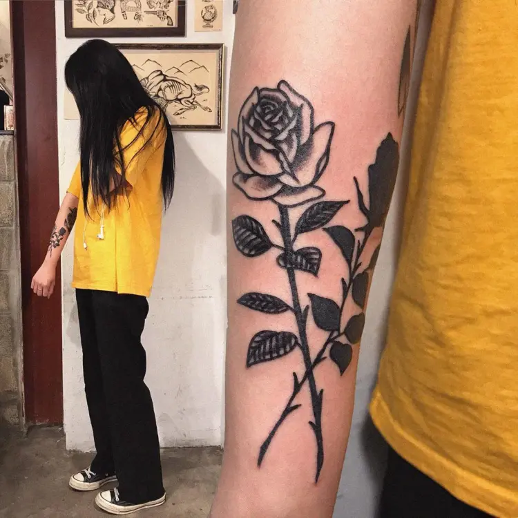 Flower, Rose