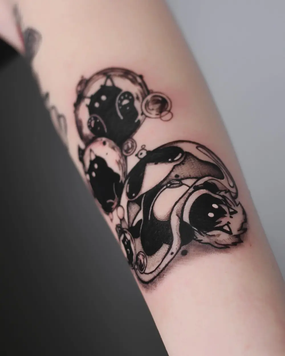 gnar.ttt