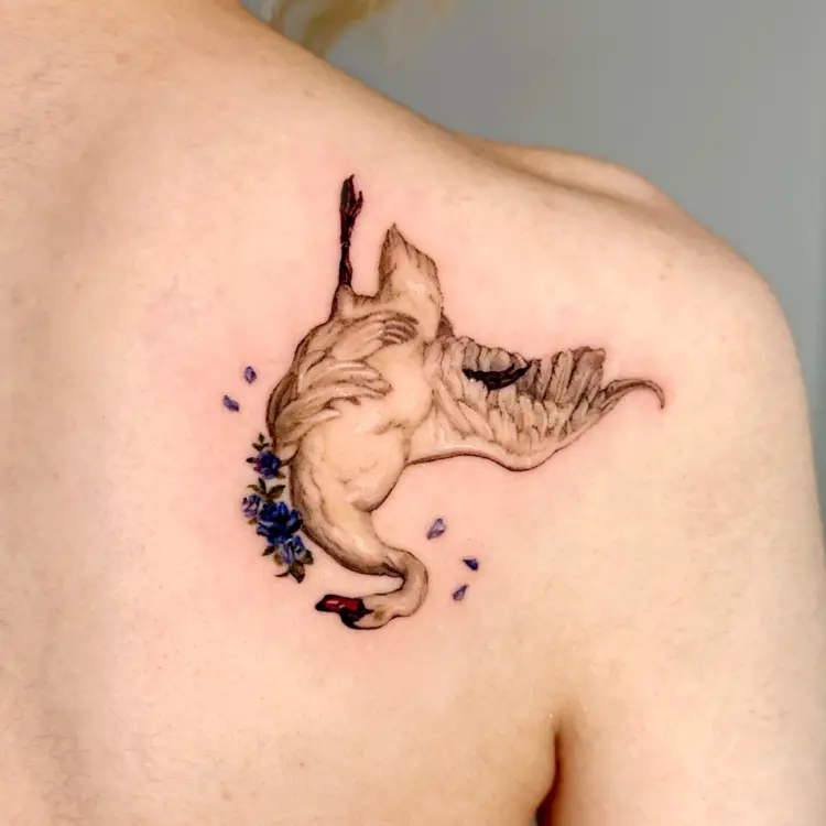 Animal
