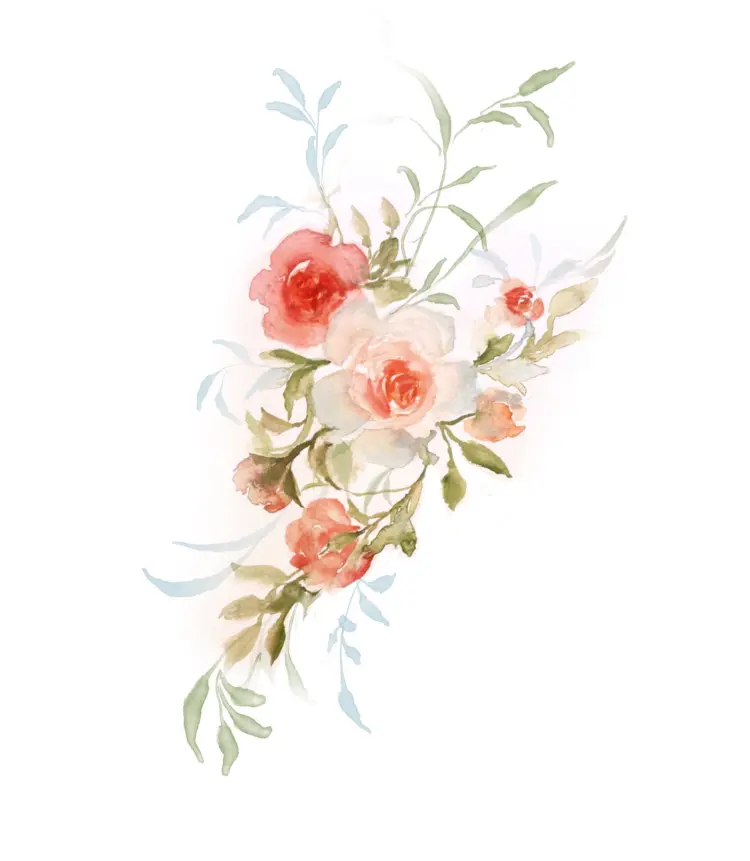 Nature, Flower, Rose