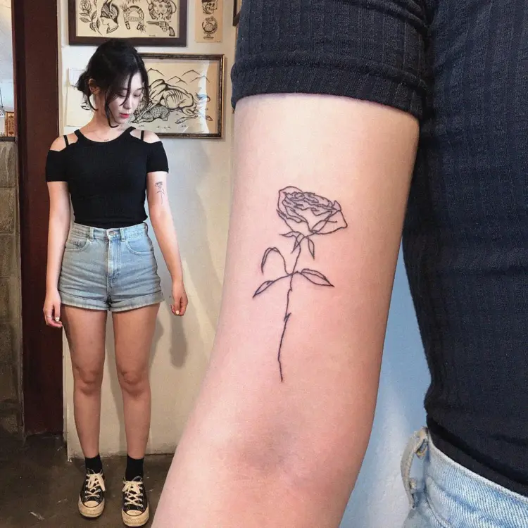 Flower, Rose