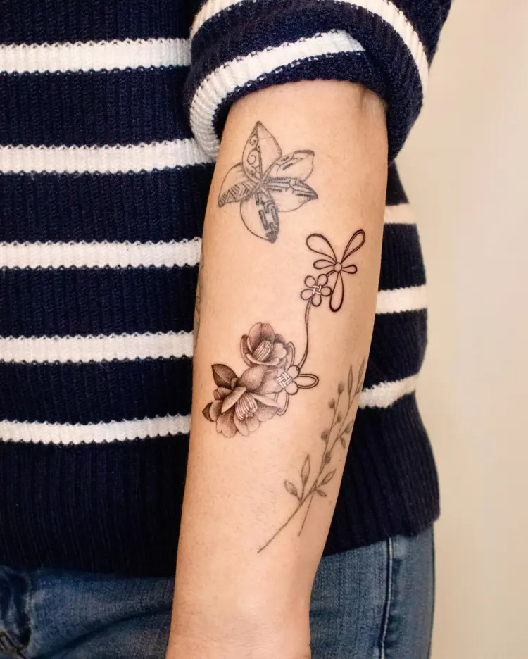 Flower, Rose