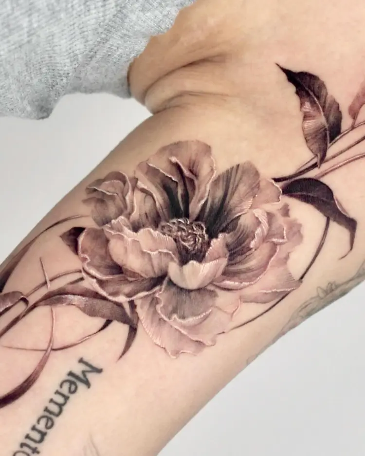 Flower, Rose, Nature
