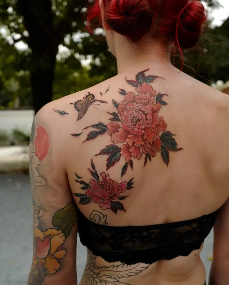 Flower, Nature, Rose