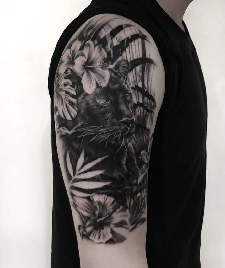 Nature, Flower, Animal