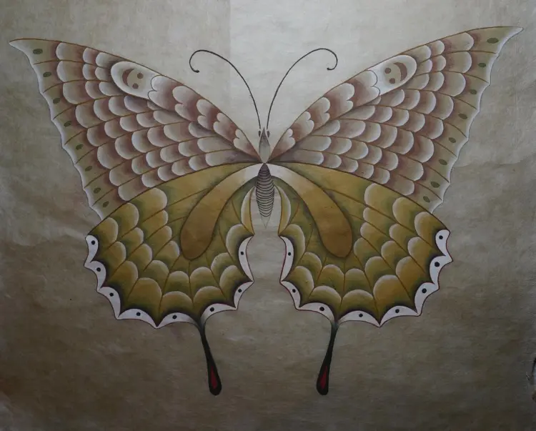 Nature, Animal