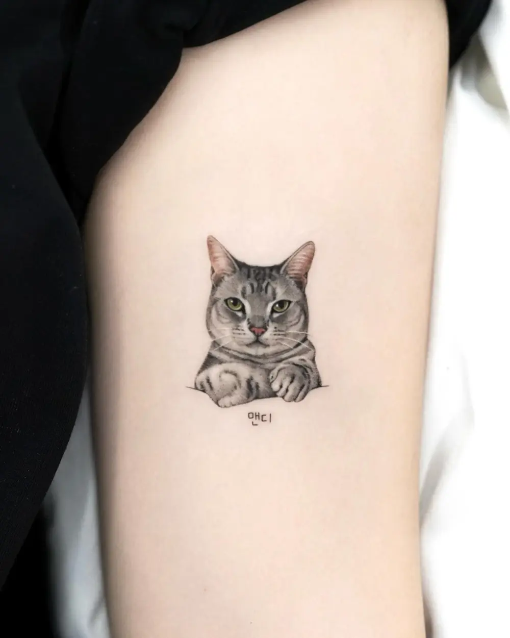 Animal
