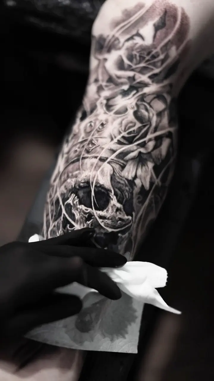 Skull, Rose, Nature, Flower