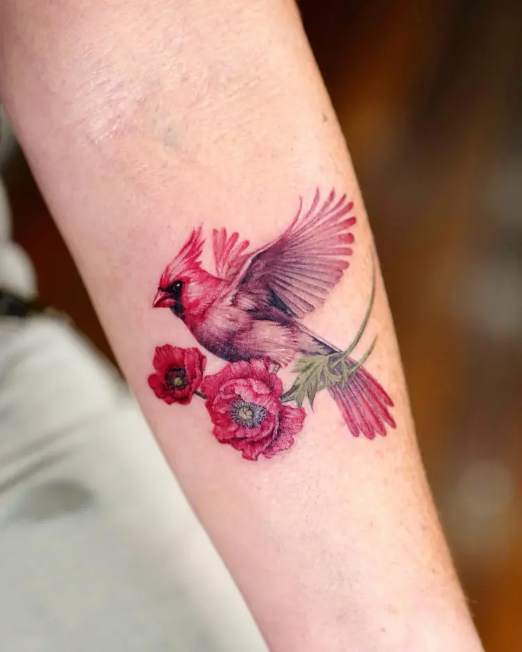 Flower, Animal, Nature