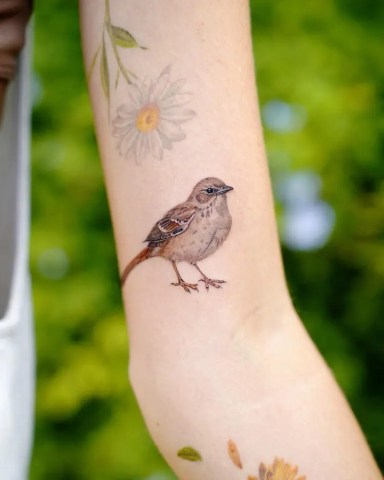 Flower, Animal, Nature