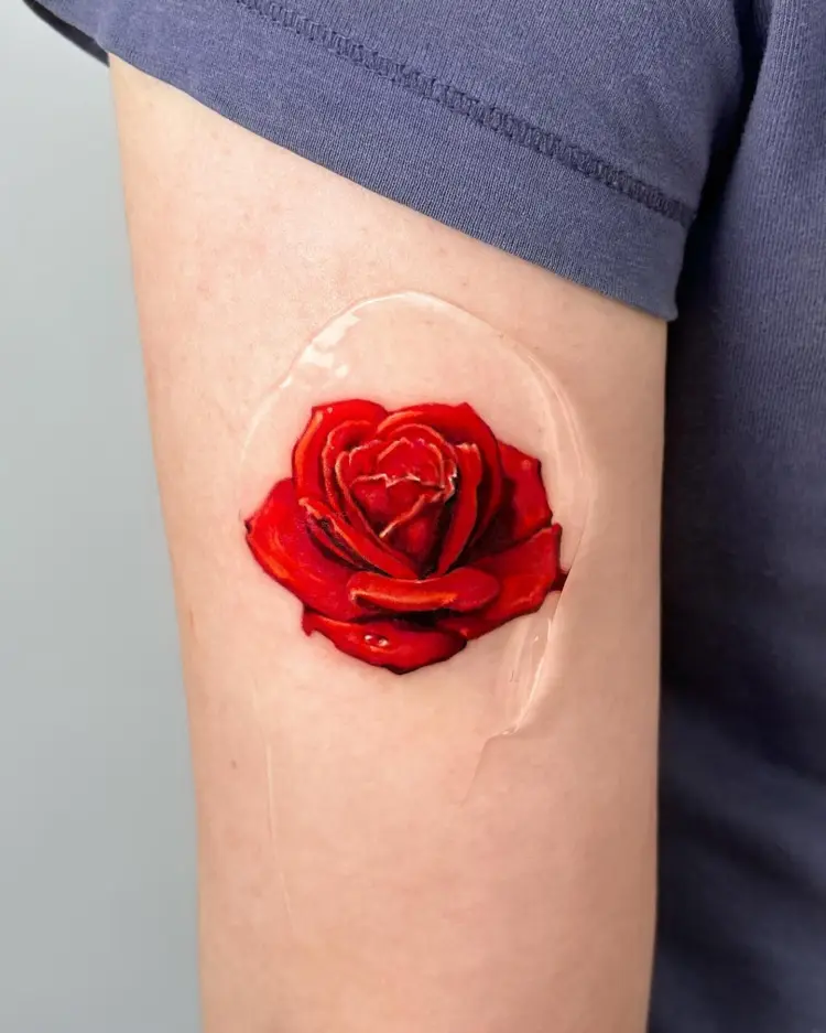 Flower, Rose