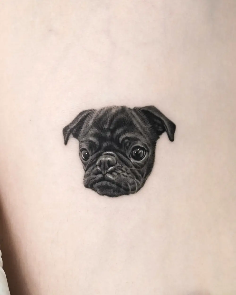 Animal