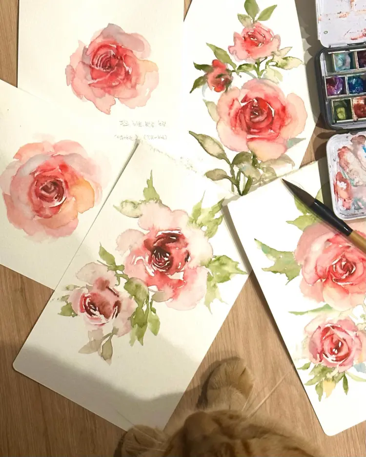 Flower, Nature, Rose