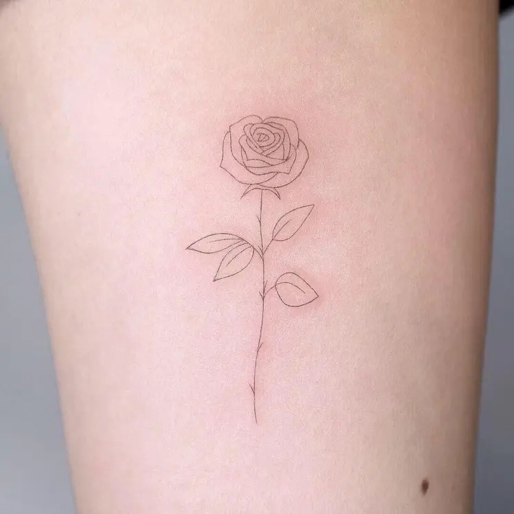 Rose, Flower
