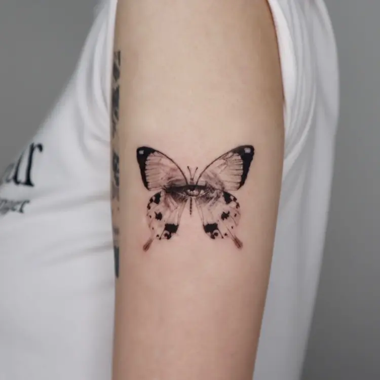 Nature, Animal