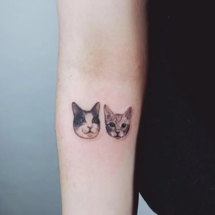 Animal