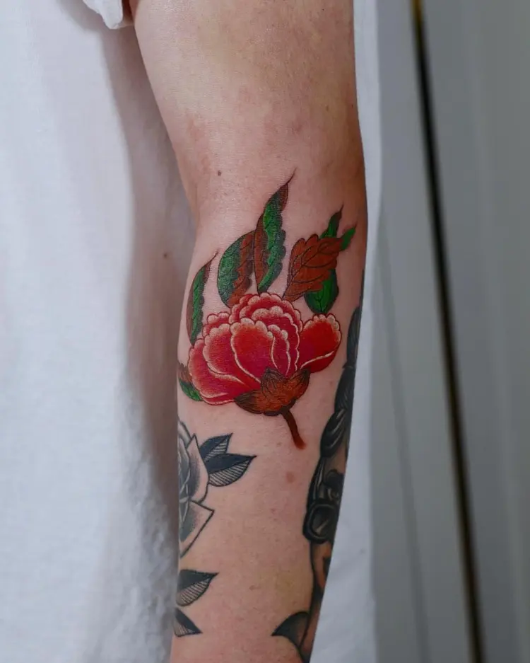 Flower, Rose