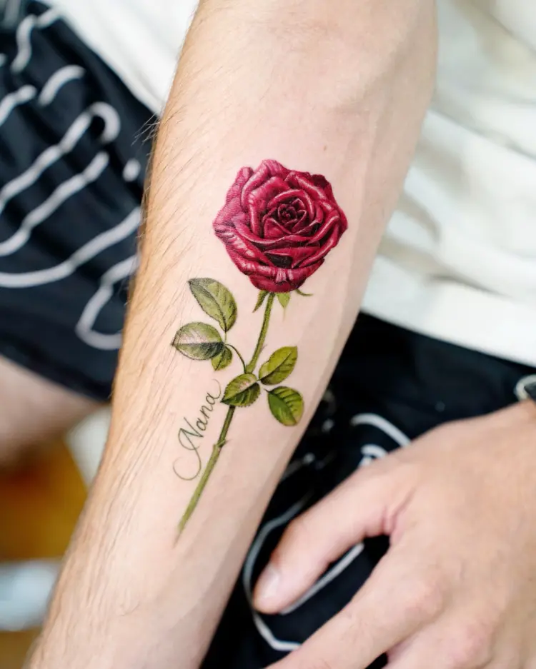 Flower, Rose
