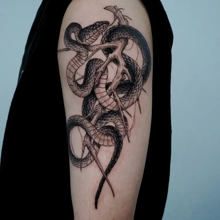 Animal, Snake