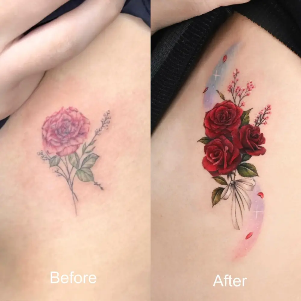 Flower, Nature, Rose