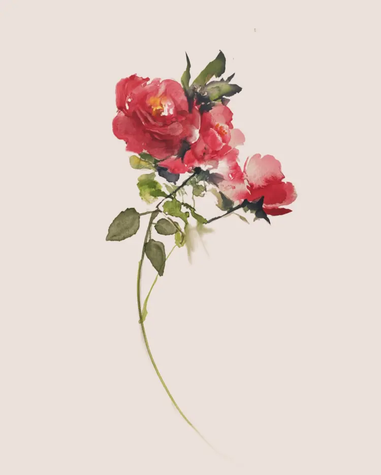 Flower, Rose
