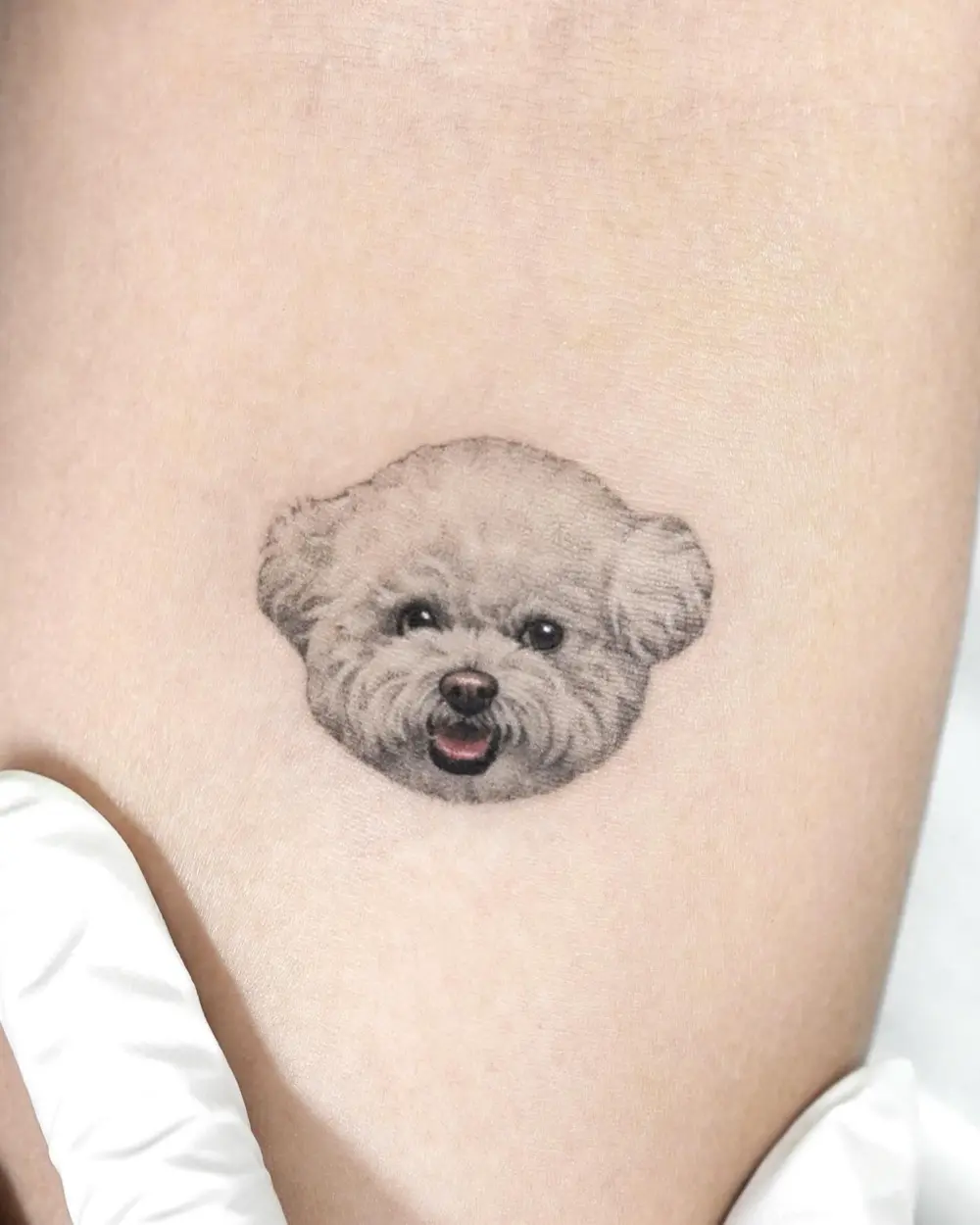Animal, Mini