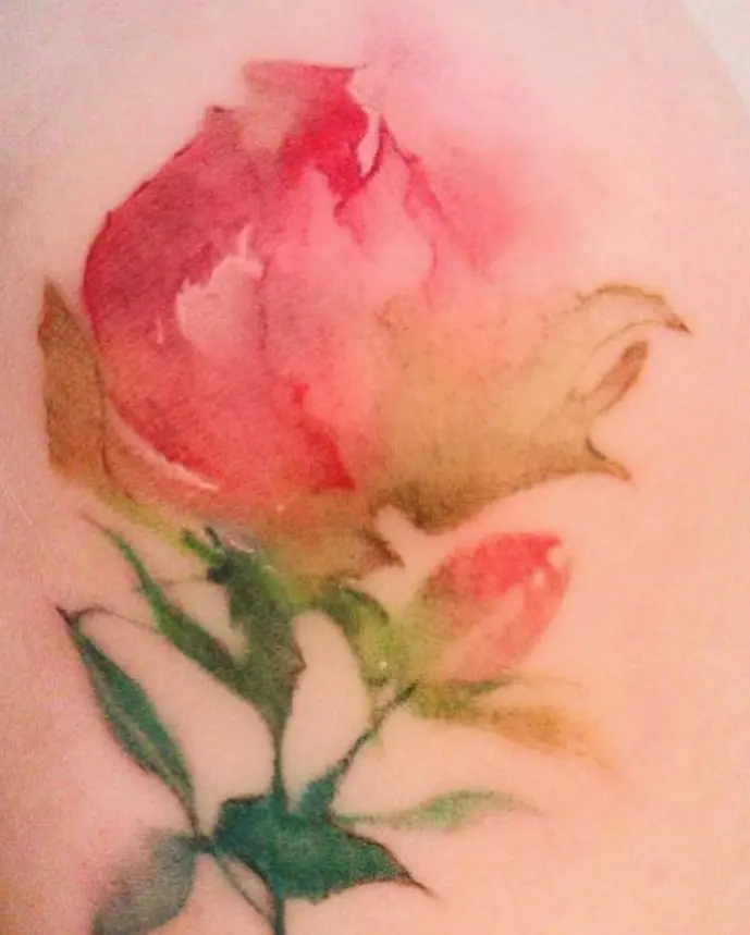 Flower, Rose
