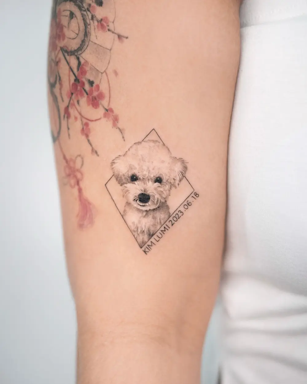 Animal, Mini