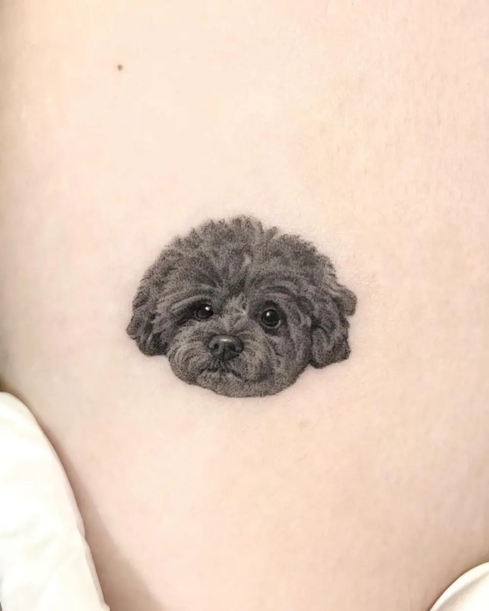 Mini, Animal