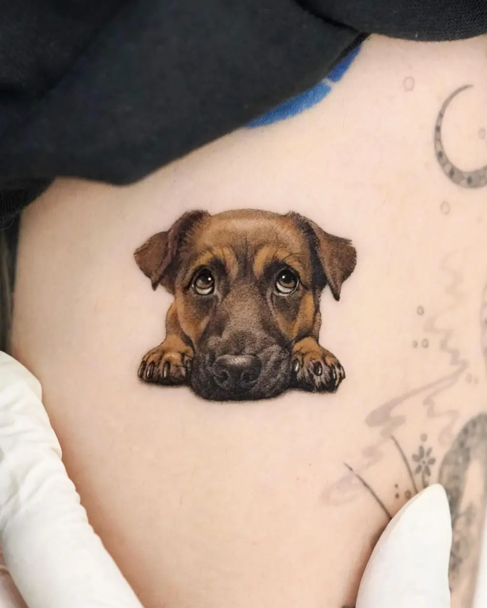 Animal
