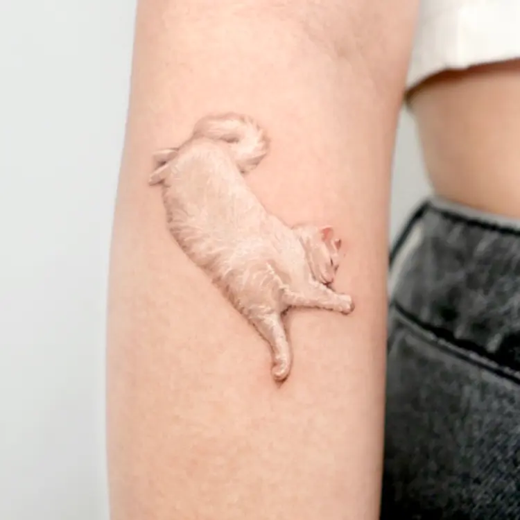 Animal
