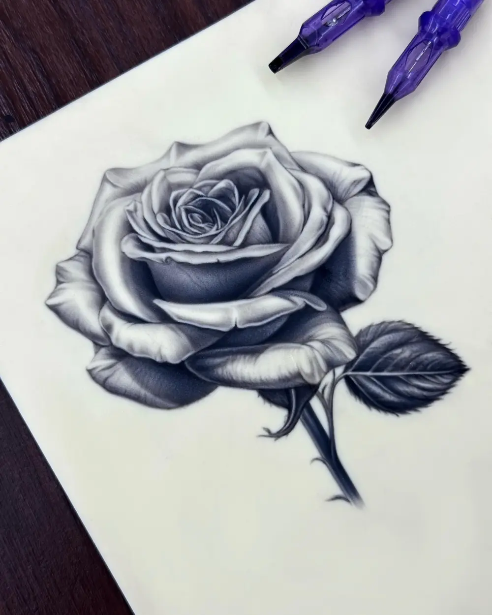Flower, Rose