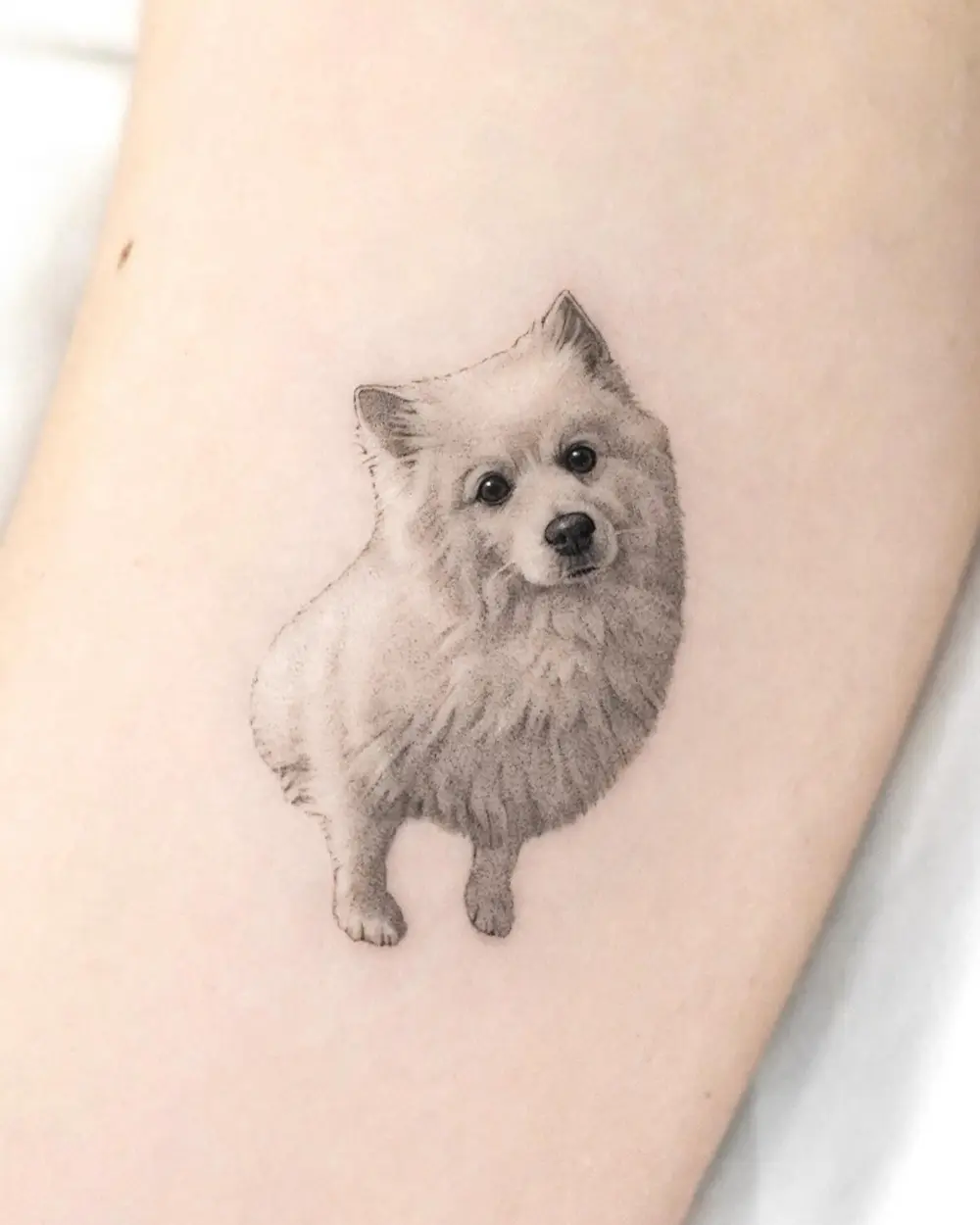 dorok.tattoo