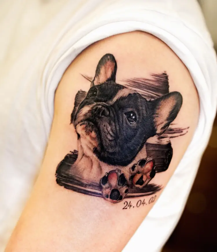 Animal