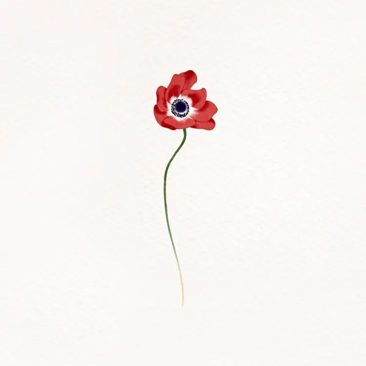 Nature, Flower