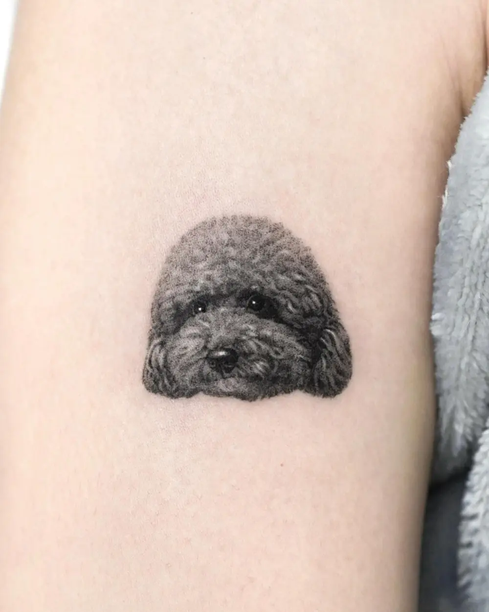 Animal, Mini