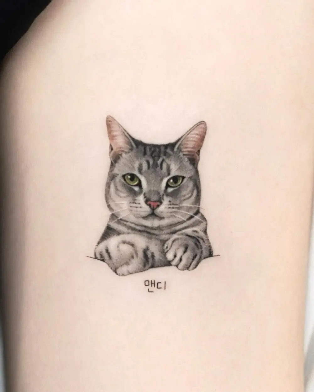 Animal