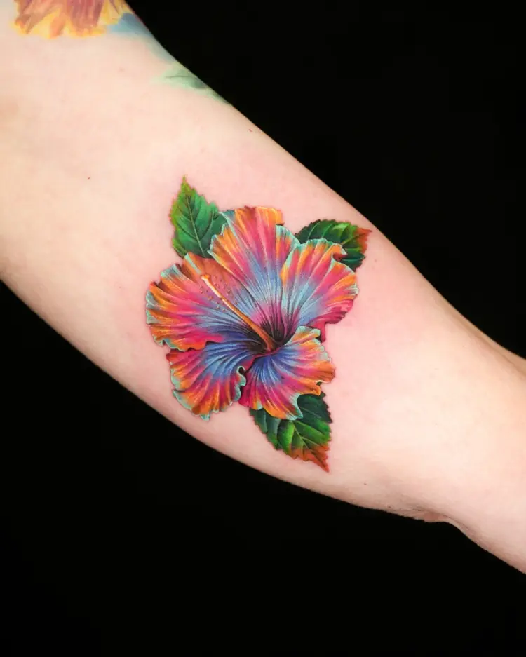 Flower, Nature
