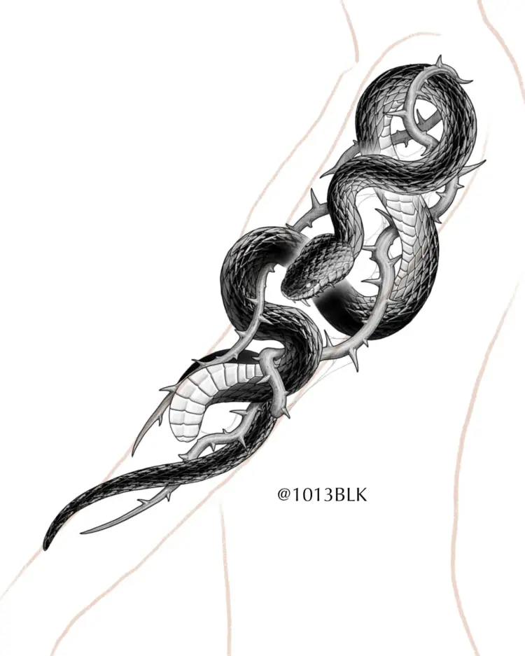 Snake, Animal